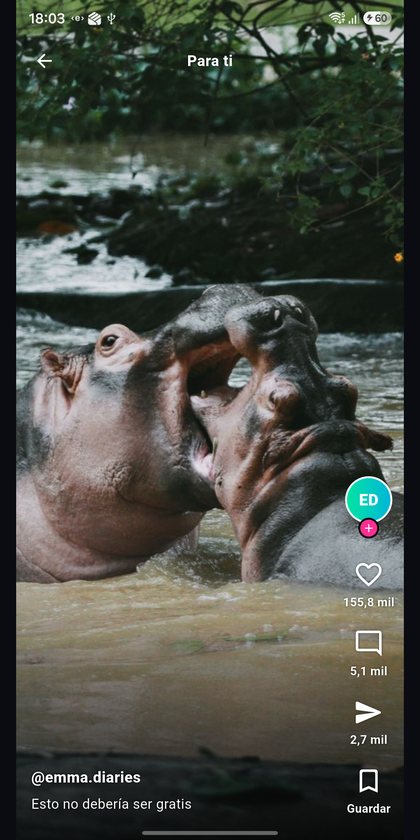 Feed vertical de vídeos y fotos